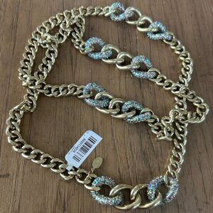 Heidi Daus "XL Hoops" Crystal-Accented Curb-Link Long Necklace AURORA BOREALIS